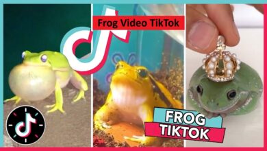 Frog Video TikTok