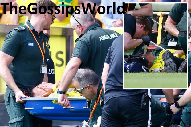 Giannoulis Ankle Injury Video & Pictures