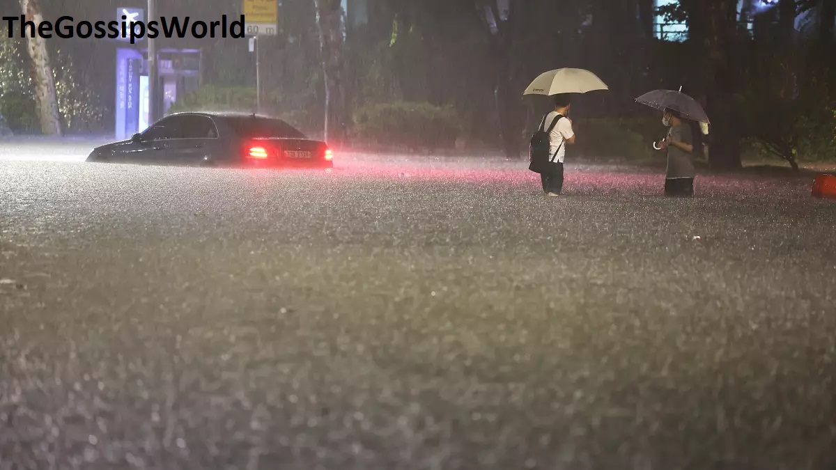 South Korea Worst Flood Viral Pictures & Videos
