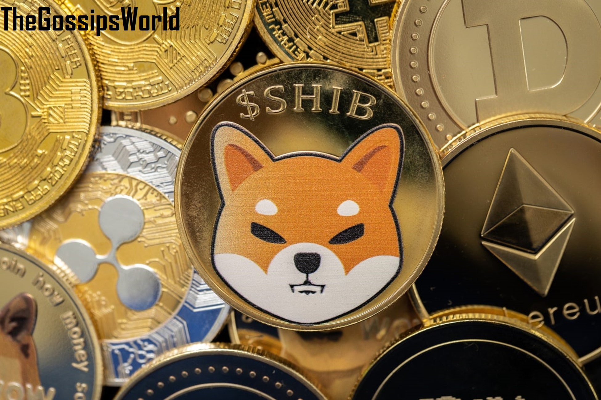 Best Place to Purchase Shiba Inu Coin