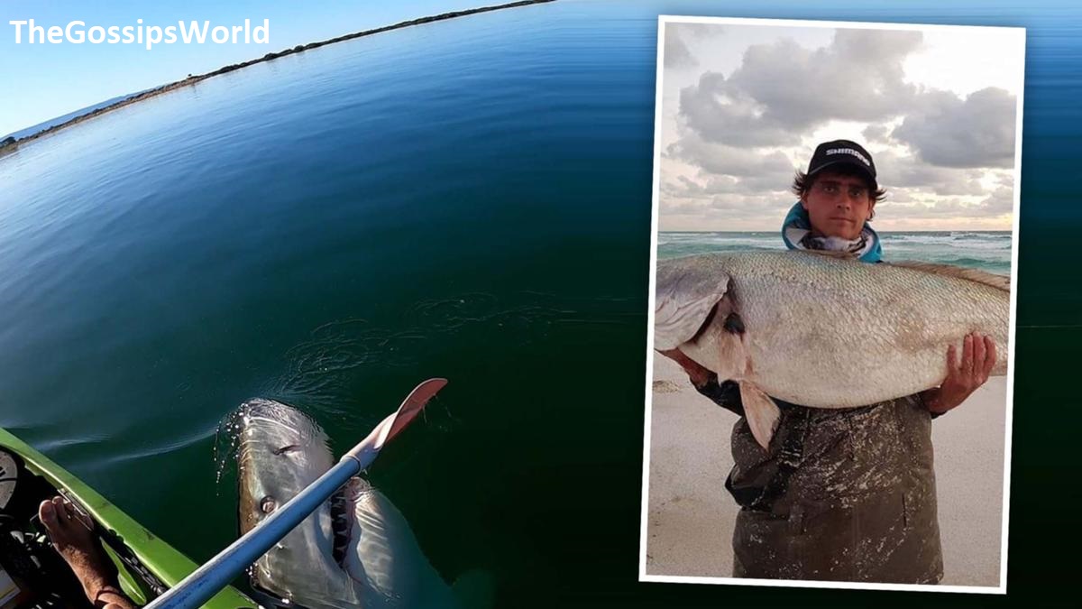Kayaker Matthew Gorne Shark Encounter Video While Fishing