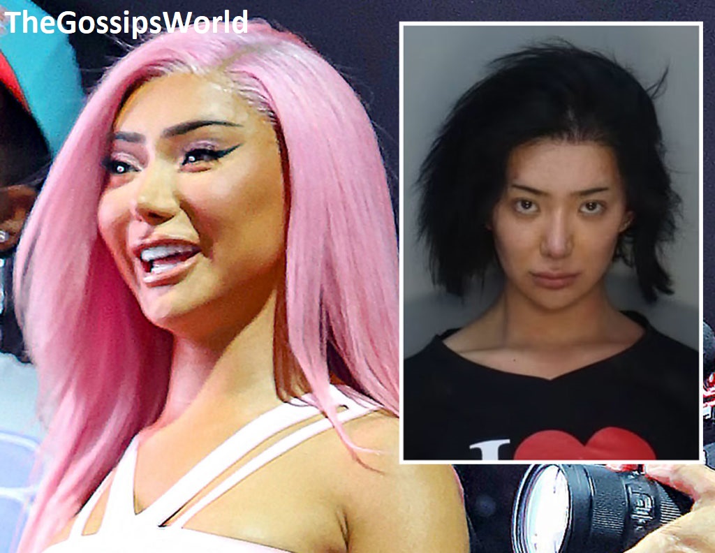 Why Was Nikita Dragun Arrested?