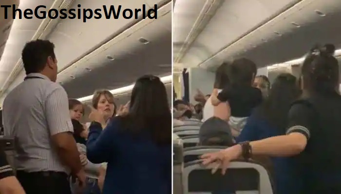 United Airlines Passenger Assaulting Flight Attendant Video
