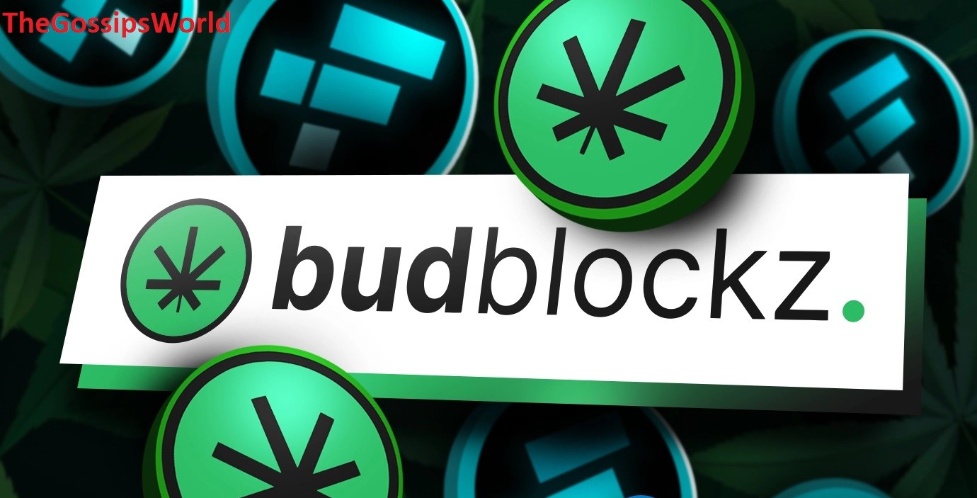 How To Invest In BudBlockz (BLUNT) & Bitcoin (BTC) In 2023?