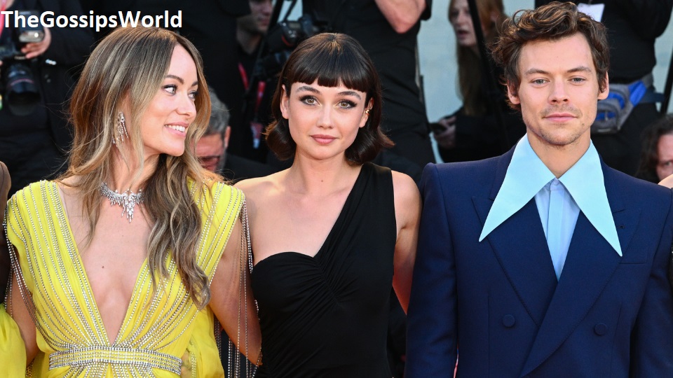 Why Did Harry Styles And Olivia Wilde Break Up?