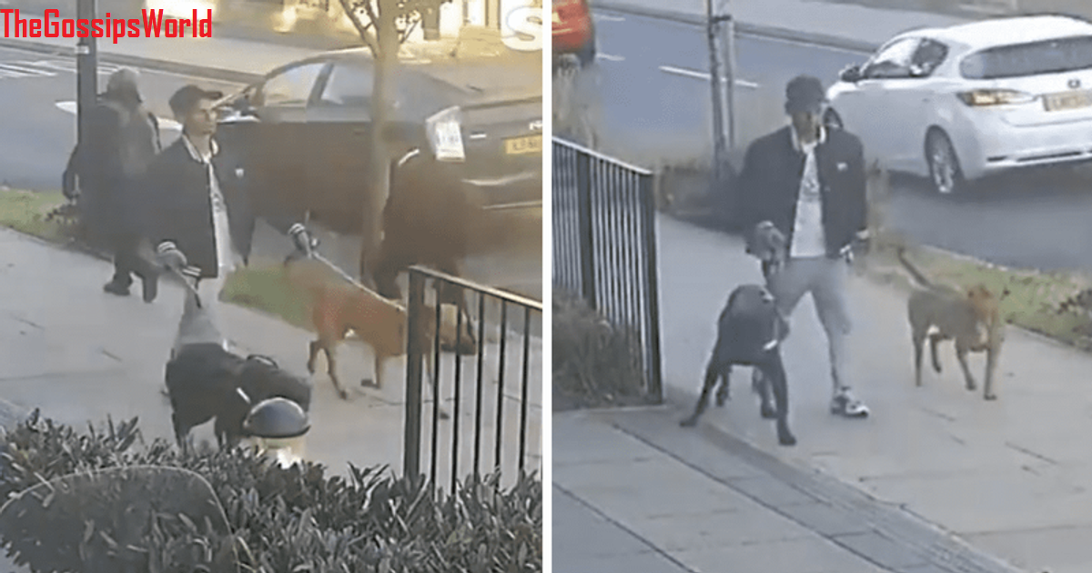 11 Years Old School Girl Mauled By Dog In Tower Hamlets