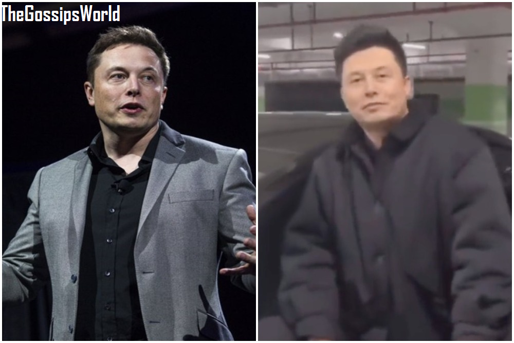 Is Elon Musk Asian?