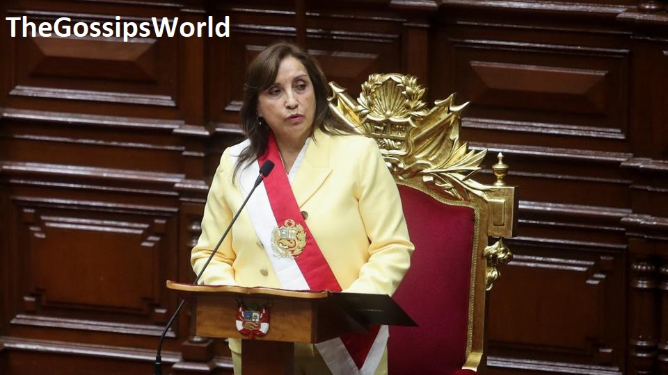 Who Is Peru's First Female President Dina Boluarte?