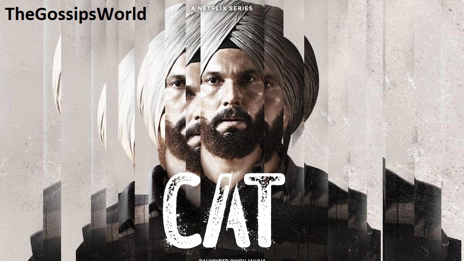 When Will Cat Season 2 Be Released?