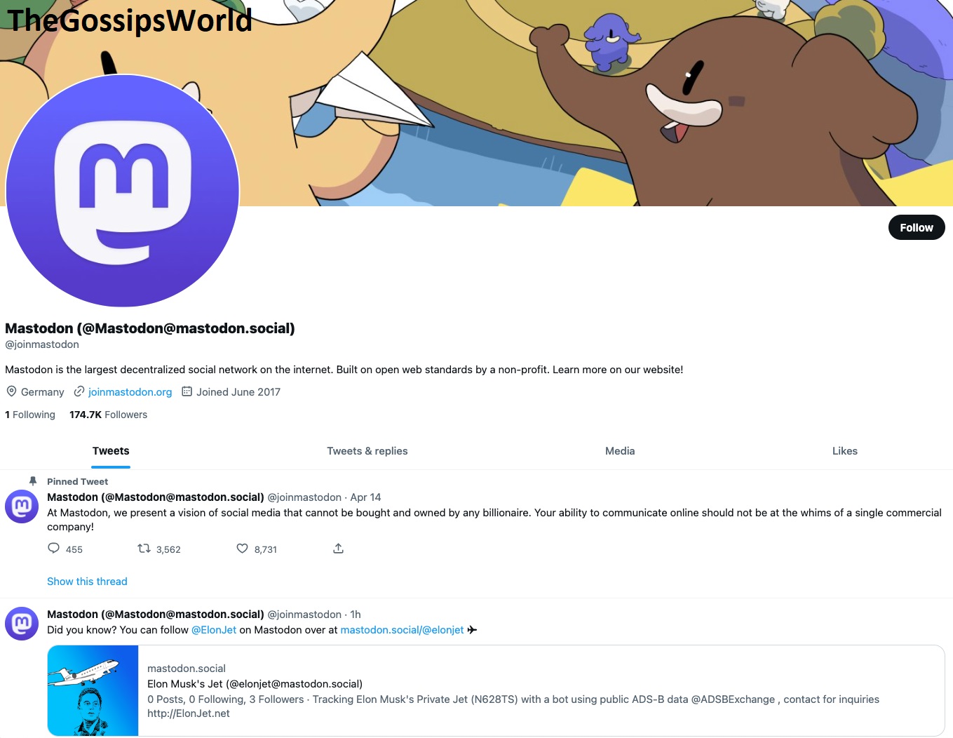 Why Twitter Suspends Mastodon Account?