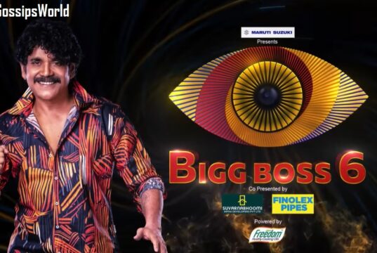 Bigg Boss Telugu 6 Grand Finale Winner