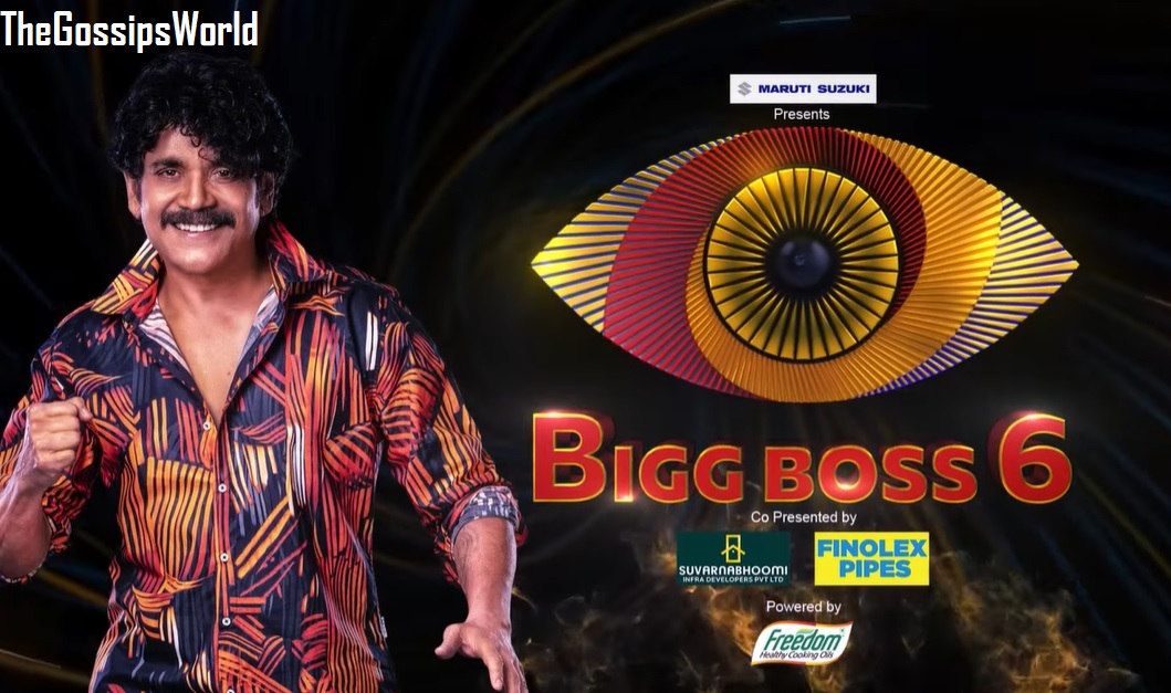Bigg Boss Telugu 6 Grand Finale Winner