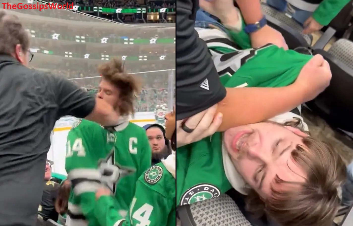A Dallas Stars Fan Got Punched Directly In The Face During NHL Game