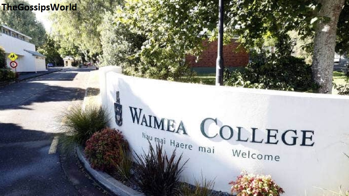 Waimea College Fight Video