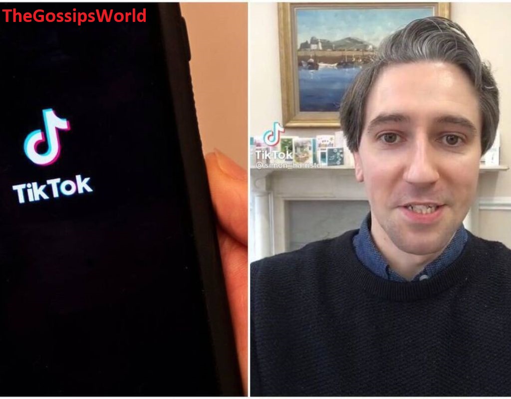 Why Is TikTok Banned In Ireland?
