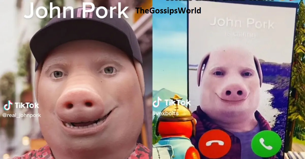 John Pork TikTok Meme Explained