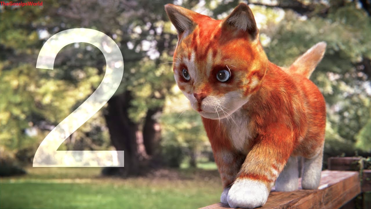 Cat In Blender Part 2 Video