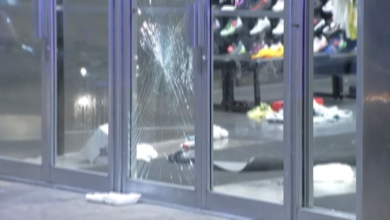 Large Crowds Of Juveniles Loot Multiple Stores In Philadelphia