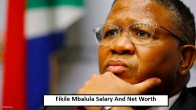 Fikile Mbalula Salary And Net Worth